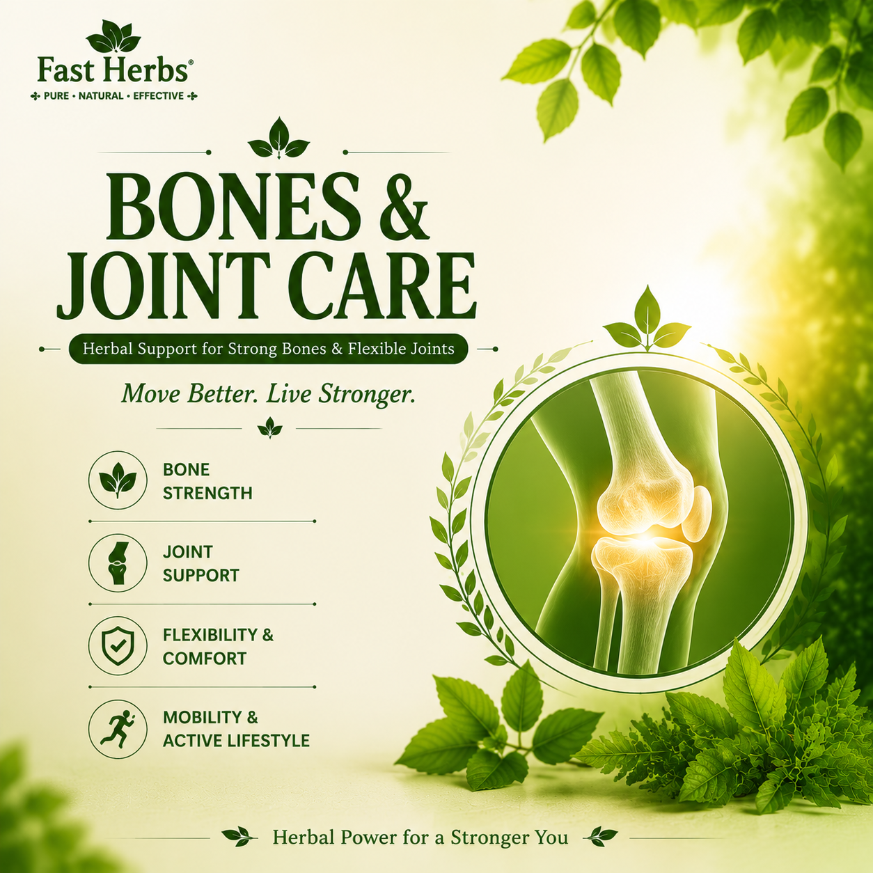 Joint & Bone Care